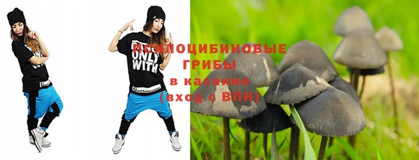 PSILOCYBIN Алексин