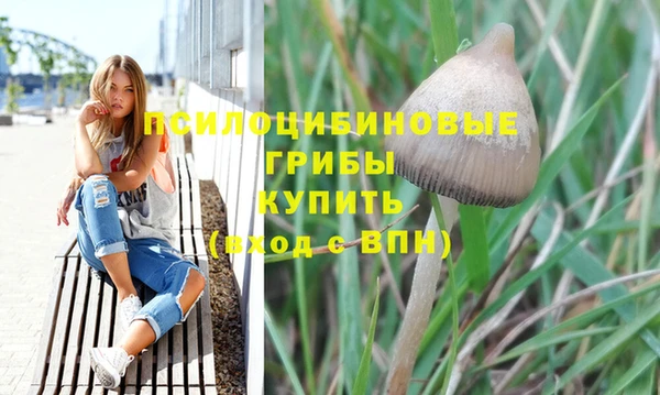 PSILOCYBIN Алексин