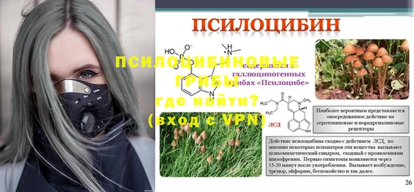PSILOCYBIN Алексин