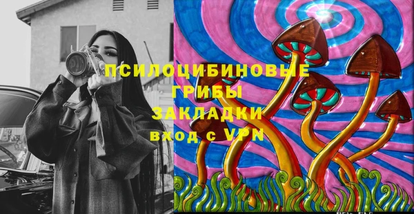 PSILOCYBIN Алексин