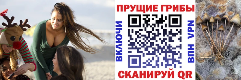 Галлюциногенные грибы Magic Shrooms  Дегтярск 